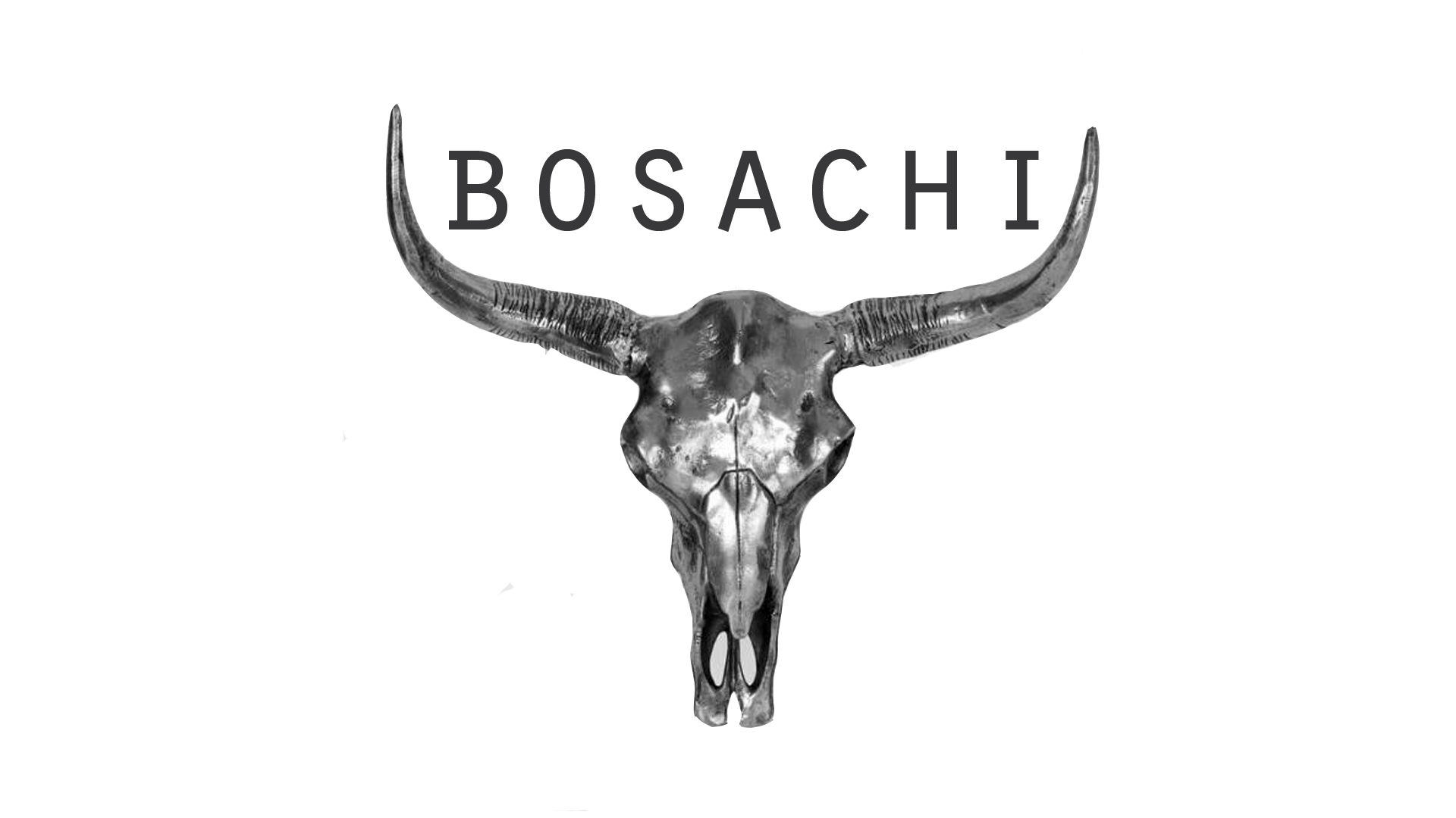 Bosachi