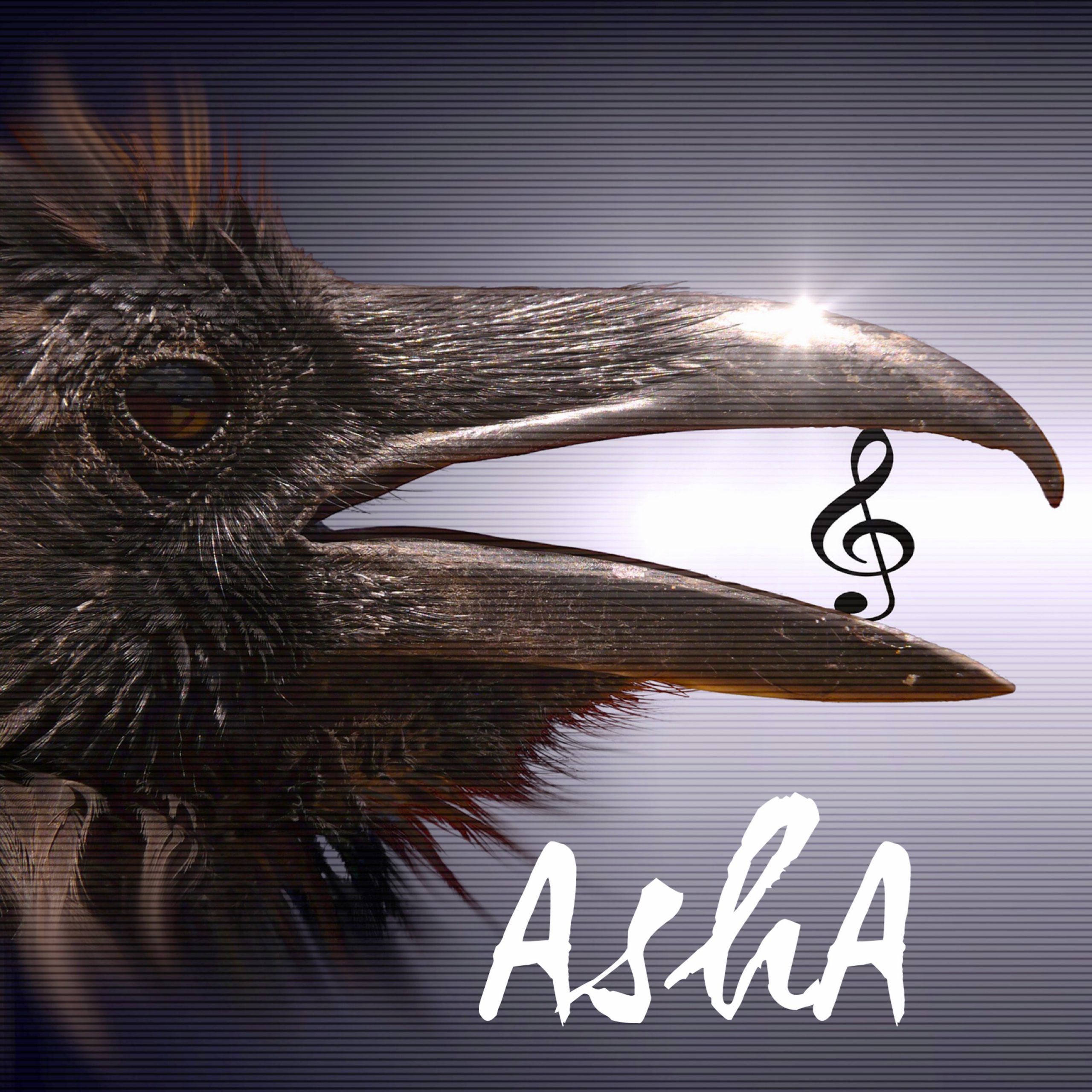 AshA
