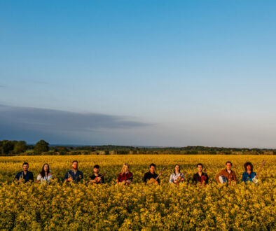 PaveyArk_Full Band_LANSCAPE_3000pix_96dpi_WEB